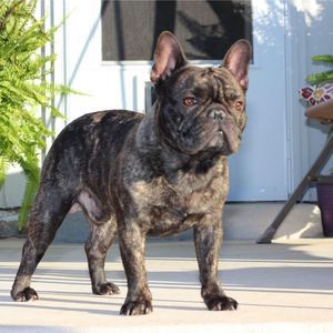 Meet your Posher, Stephen